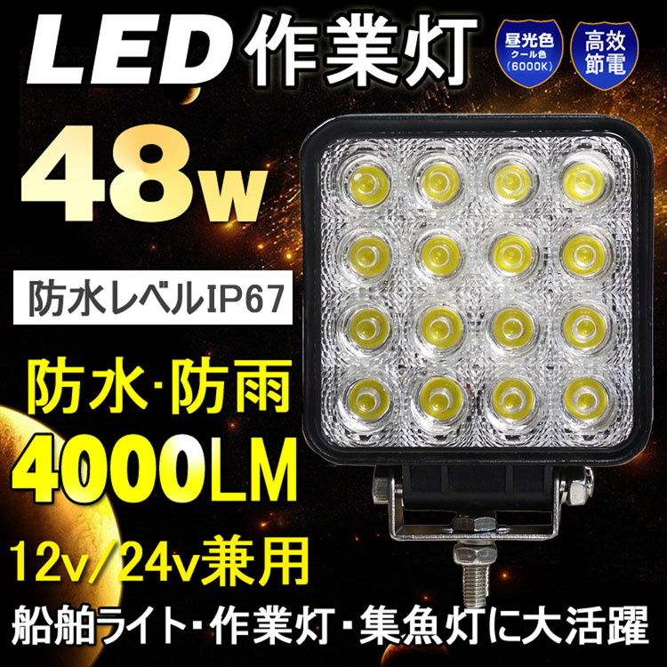 LD48IMG6.jpg