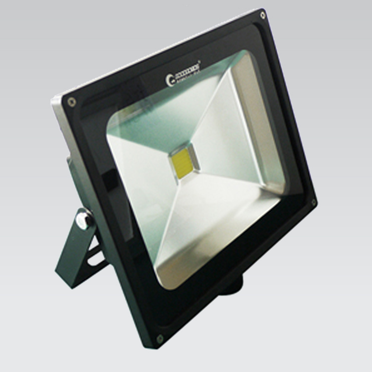 TGY50IMG2.jpg