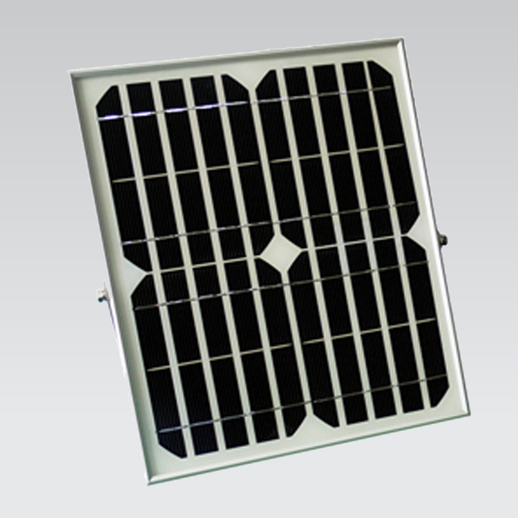 TGY50IMG3.jpg