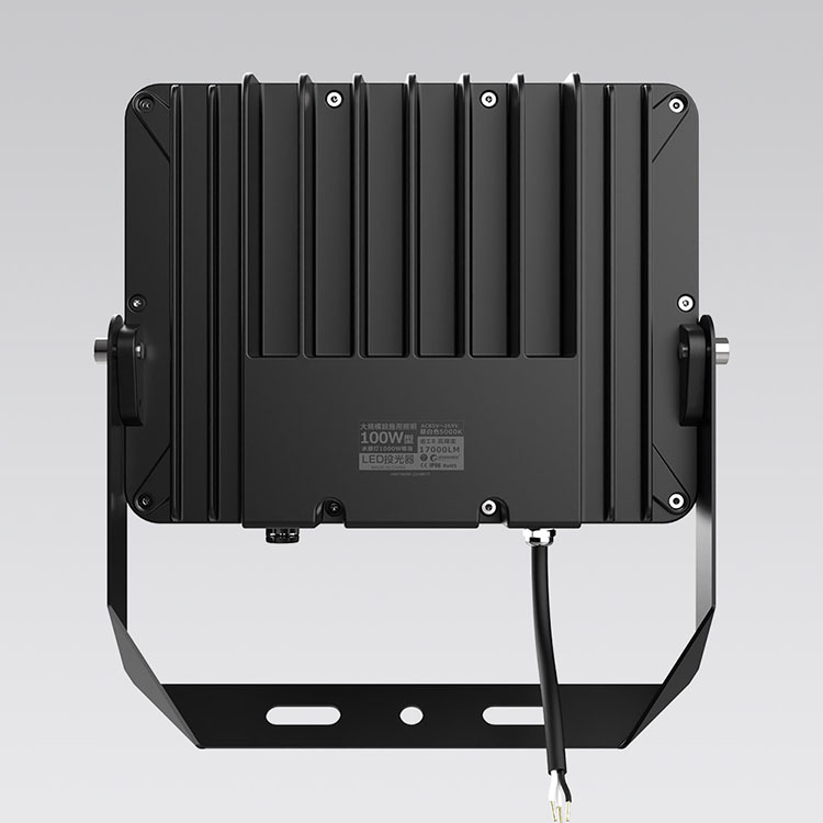 LD-E9W-5.jpg
